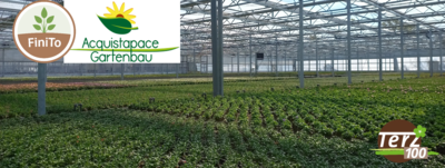 Finito trifft... Acquistapace Gartenbau - © Nico Schlüter /media/media/1E667D9B-0EF8-851E-6B987E97885A2A08.png