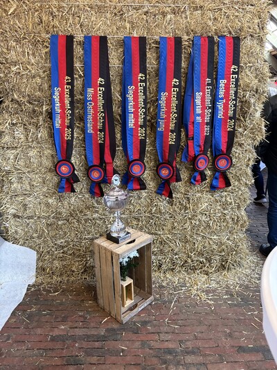 Verleihung des Staatsehrenpreises an Familie Hobbie, Kiebitznest - © LWK Niedersachsen Verleihung des Staatsehrenpreises an Familie Hobbie, Kiebitznest