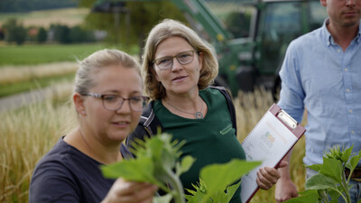 Gespr&auml;chsaustausch zum Anbau der Sonnenblume und deren Nutzen f&uuml;r Insekten