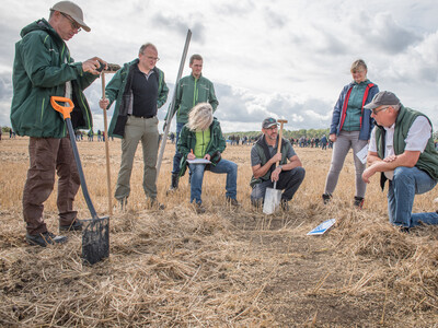 Wassersparend, bodenschonend, wirtschaftlich: Maschinenvorf&uuml;hrung zur ultraflachen Bodenbearbeitung mit mehr als 40 Ger&auml;ten in Sehnde (Region Hannover).
