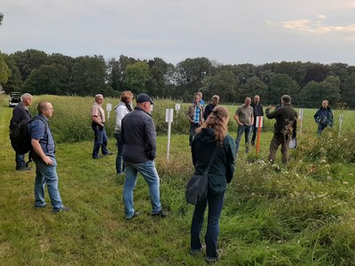 Blühstreifen - © Hinrich Sparringa Blühstreifen