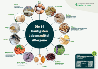 Allergene