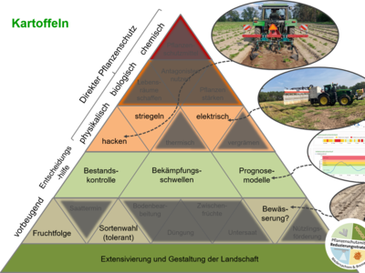 Maßnahmenpyramide für den integrierten Pflanzenschutz in Kartoffeln