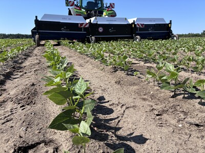 ARA Spot-Sprayer in Buschbohne