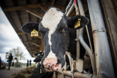 Dreharbeiten LBZ Echem 10.05.2017