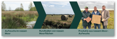 Neue Wege der Bewirtschaftung und Nutzung von Moorflächen
