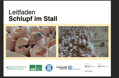 Leitfaden Schlupf im Stall
