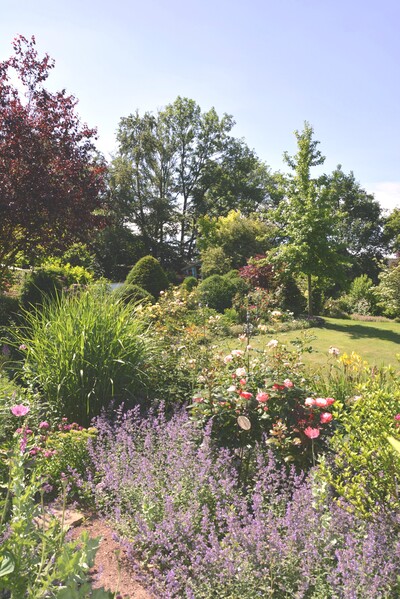 Blick in den Garten - Harmonisch aufeinander abgestimmt sind Rosen, Stauden, Gräser und verschiedene Gehölze. Etwa 50 geformte Eiben setzen im Garten ruhige Pole. - © Christiane Rehkamp Blick in den Garten