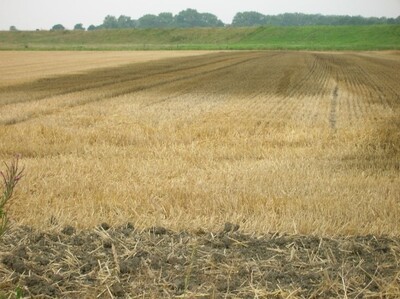G&uuml;lleausbringung Stoppelfeld