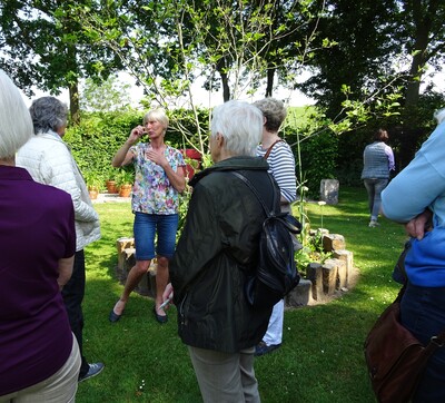 Feierabendspaziergang - © Mechthild de Boer Feierabendspaziergang