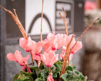 Gesellschaftsabend der Landwirtschaftskammer Niedersachsen am 19.11.2025 in Oldenburg.