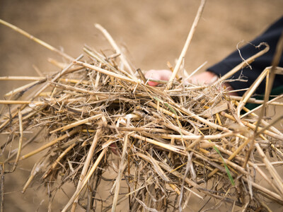 Wassersparend, bodenschonend, wirtschaftlich: Maschinenvorf&uuml;hrung zur ultraflachen Bodenbearbeitung mit mehr als 40 Ger&auml;ten in Sehnde (Region Hannover).