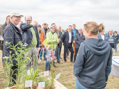 Tag zwei der Feldtage der Landwirtschaftskammer Niedersachsen am 02.06.2023 auf der Versuchsstation Poppenburg in Nordstemmen (Kreis Hildesheim).