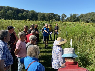 Feldbegehung auf der Bl&uuml;hstreifen-Demonstrationsfl&auml;che Loga