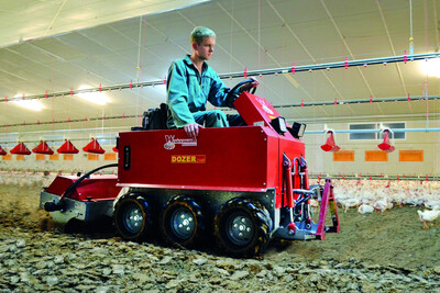 Einstreu in der Gefl&uuml;gelhaltung