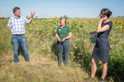 Landwirt Matthias Johns, LWK-Biodiversitätsberaterin Martina Diehl und Agrarministerin Miriam Staudte (v.l.) auf einer Fläche speziell für den Rebhuhnschutz bei Wolfenbüttel-Leinde. - © Wolfgang Ehrecke Landwirt Matthias Johns, LWK-Biodiversitätsberaterin Martina Diehl und Agrarministerin Miriam Staudte (v.l.) auf einer Fläche speziell für den Rebhuhnschutz bei Wolfenbüttel-Leinde.