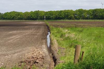 Intensive Landwirtschaft auf Moorböden - © Fabio Stahl Intensive Landwirtschaft auf Moorböden
