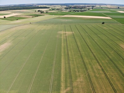 Feld mit Trockensch&auml;den