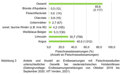 Anteile und Anzahl an Erstbesamungen mit Fleischrassebullen unterschiedlicher Genetik bei niedersächsischen Holsteinfärsen - © Henrike Jansen Anteile und Anzahl an Erstbesamungen mit Fleischrassebullen unterschiedlicher Genetik bei niedersächsischen Holsteinfärsen
