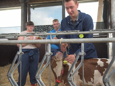 Platz 2 in der Kategorie Landwirtschaft I: Cornelius von Eller-Eberstein aus Visselhövede bei der praktischen Prüfung im Kälberstall während des Finales des Berufswettbewerbs der deutschen Landjugend am 21.06.2023 im Landwirtschaftlichen Bildungszentrum. - © Wolfgang Ehrecke Platz 2 in der Kategorie Landwirtschaft I: Cornelius von Eller-Eberstein aus Visselhövede bei der praktischen Prüfung im Kälberstall während des Finales des Berufswettbewerbs der deutschen Landjugend am 21.06.2023 im Landwirtschaftlichen Bildungszentrum.