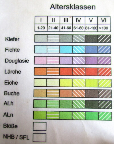 In der Legende einer Forstbetriebskarte sind die Baumartengruppen sowie das Baumalter farblich gekennzeichnet. - © Dieter Scholz Ausschnitt der Kartenlegende einer Forstbetriebskarte