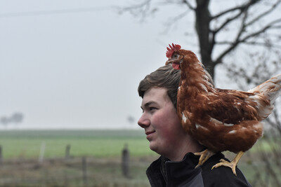 Ausbildungsberuf "Tierwirt*in Fachrichtung Gefl&uuml;gelhaltung"