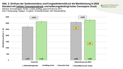 Abbildung 3 Einfluss der Sortenresistenz und Fungizidintensit&auml;t auf die Marktleistung in 2024