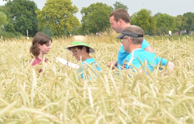 Bundessiegerin in der Kategorie Landwirtschaft I: Rebekka Niers (l.) aus Geeste (Kreis Emsland) bei der Getreidebonitur während des Finales des Berufswettbewerbs der deutschen Landjugend am 21.06.2023 im Landwirtschaftlichen Bildungszentrum in Echem.