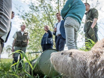 Ergebnisse und Herausforderungen der Nutriajagd: Fachleute der LWK, Vertreter*innen der J&auml;gerschaft sowie des Unterhaltungsverbandes am 11.05.2022 beim Treffen mit Agrarministerin Barbara Otte-Kinast an der Vechte bei Quendorf (Grafschaft Bentheim).