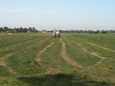 Gruenlandschnitt - © Imke Voigtländer. - © Imke Voigtländer Gruenlandschnitt