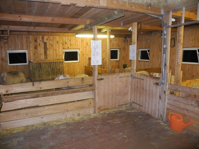 Blick in einen der Schafställe - © Dr. Hans-Gerd Brunken Blick in einen der Schafställe