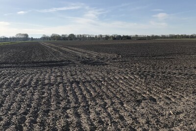 Landwirtschaftliche Nutzfläche - © LWK Niedersachsen Landwirtschaftliche Nutzfläche