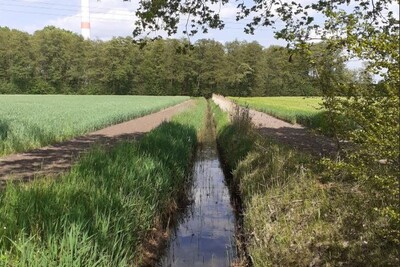 Gewässer mit Randstreifen