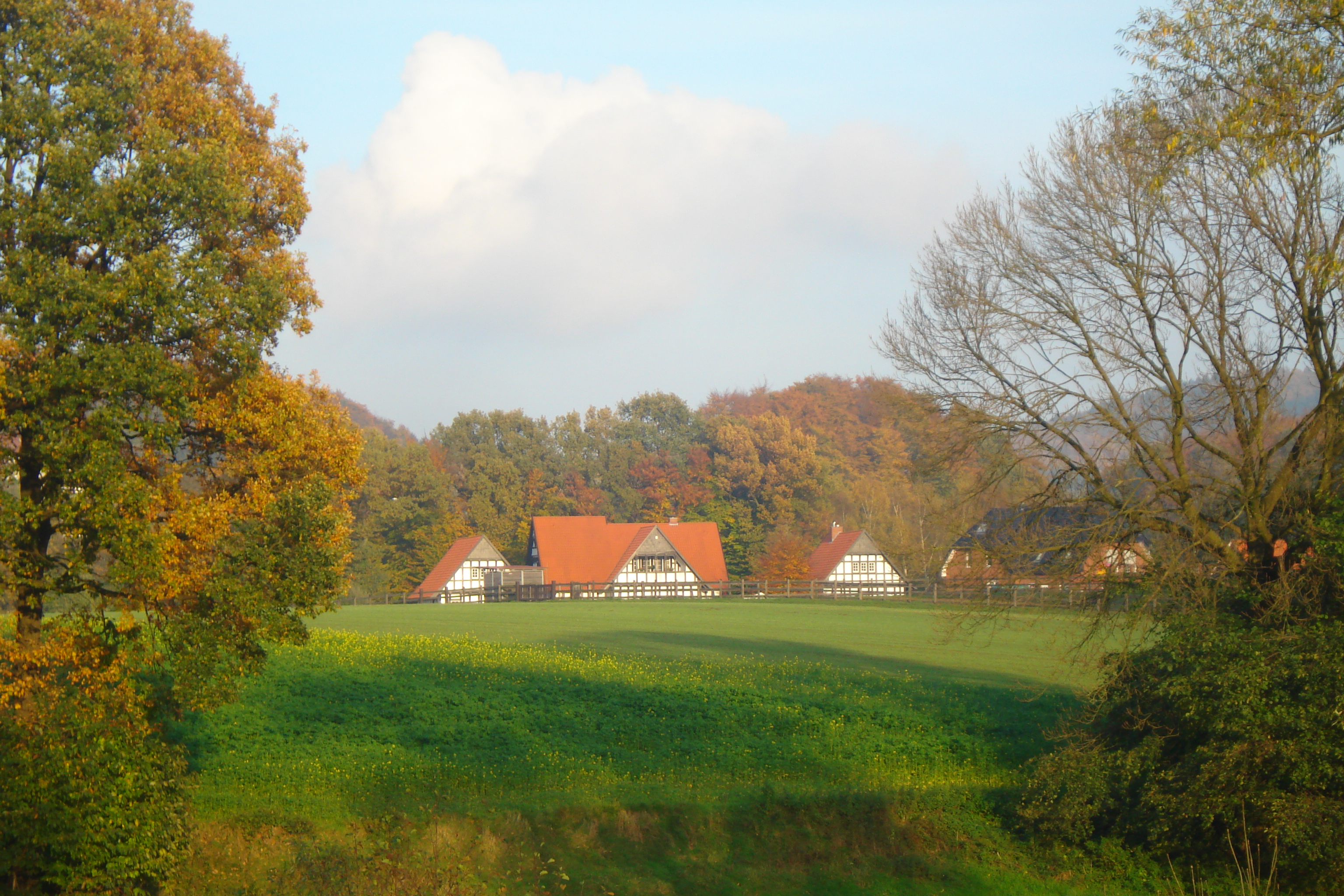 GAP 2025: Moorkulisse (GLÖZ 2) online einsehbar : Landwirtschaftskammer ...