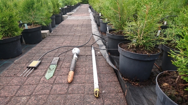 PPP Sensoren - Dragino (FDR), Trübner (SMT100), Tensiometer, Plantcare - (von links nach rechts)