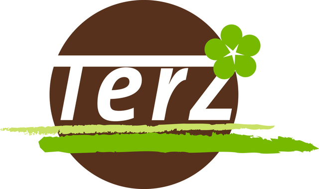 TerZ Logo