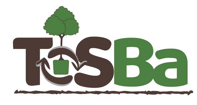 Logo Projekt ToSBa