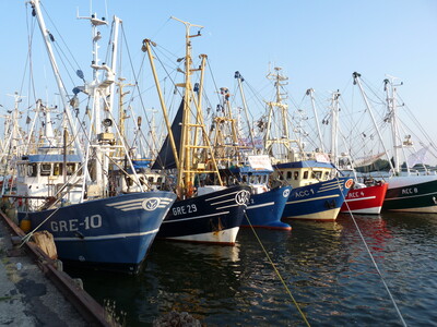 Krabbenkutter im Hafen