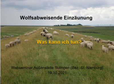 Seminar Wolfsschutz