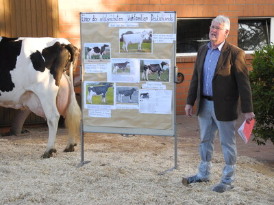 Herr Josef Batke (Bruder von Heinrich Batke) kommentiert die vorgeführten Rinder und stellt die erfolgreichste Kuhfamilie Deutschlands vor