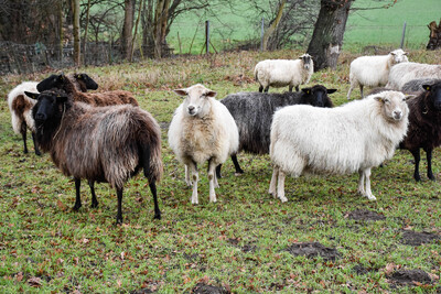 Landwirt*in - © Andreas Teichler /media/media/2369CF8A-F6DE-F466-BBB16C9A8A0DF846.jpg